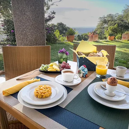 Vilafoia モンシケ