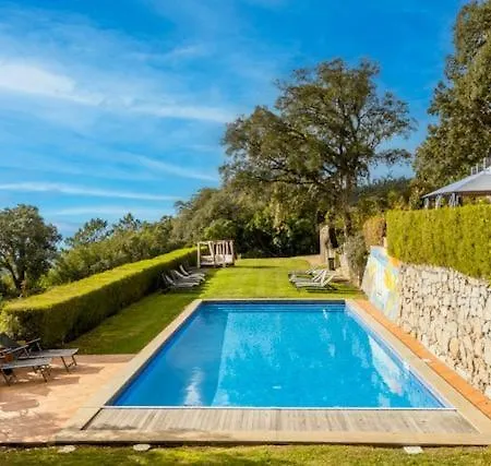 Vilafoia モンシケ