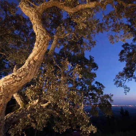 Pensionat Vilafoia 4*