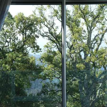 Vilafoia Guest house 3*